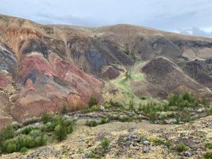 ����� ��� �������������� 2026