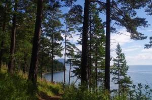 ��������� ������� ���� 2026