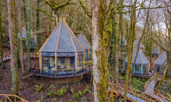 RIVER SIDE Resort & Spa /       5*. , . 