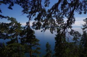 ����������� �������� ���� 2026