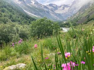 ��� ������� ������: ������ � ������� 2026