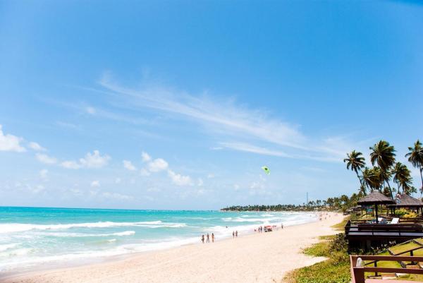 ������� �������� 2025 13 ���� / 12 �����