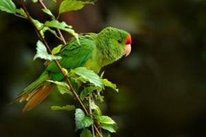 Эквадор 2025: Эко-лодж Итаманди 4 дня / 3 ночи