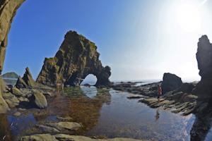 ���� - ��� ��� ��������� � ��� �������