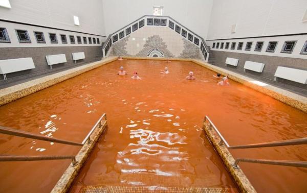 ����� - ����� ���������