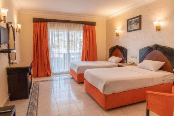      Viva Sharm Hotel 3*   -  , 28.12.2025 .
