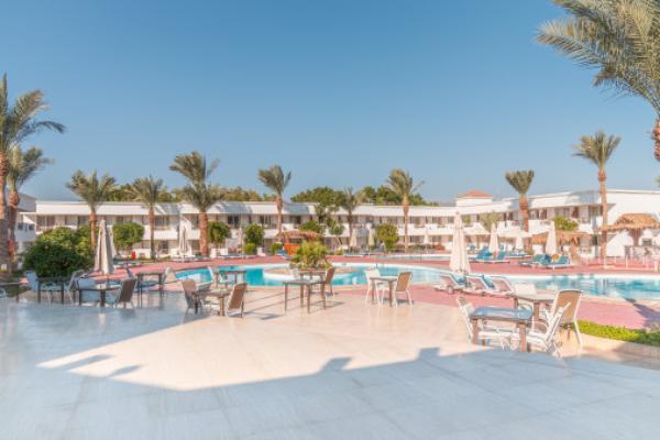      Viva Sharm Hotel 3*   -  , 28.12.2025 .