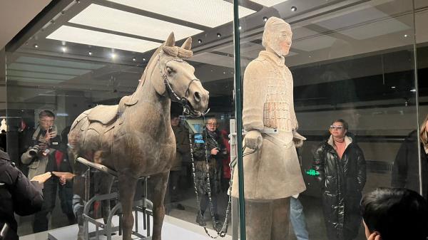 ��������� �����������: �����, ������, �������