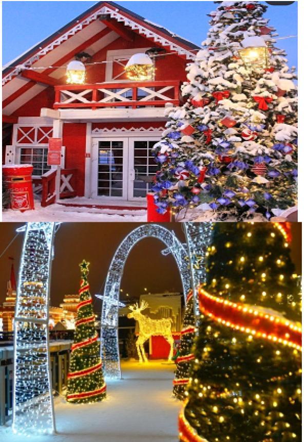    . 02.01.26 - 05.01.26