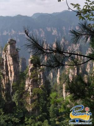 Не дорогой тур по Китаю с посещением гор Аватар