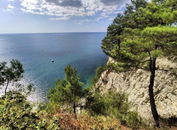 ����� �� ������� ���������