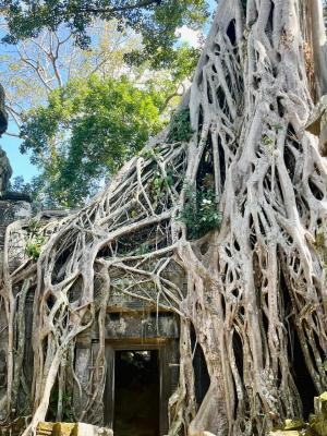 ���� ������� � ����� �������� � ������� �� �. ������