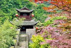 �������� ���� � �����. ������ - ������ - ���� - ������