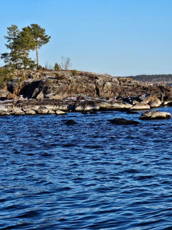 �� ������� � ���� ������