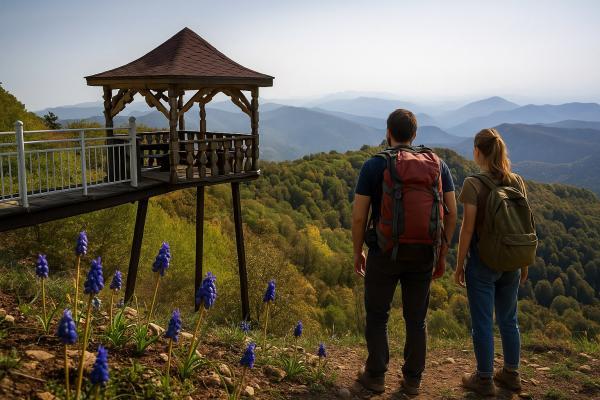 �����������, ������! ����, 6 ���� + � / � ��� ����