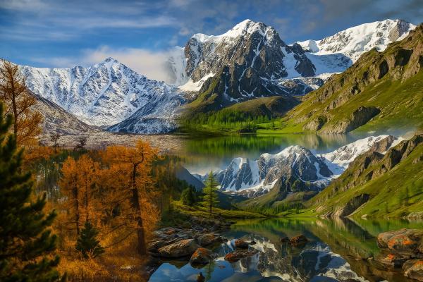 �� ������ ���� �����, 11 ���� + ����, ������� - ������