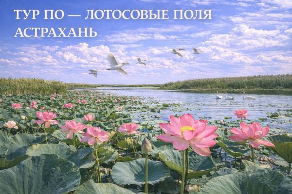 ������������� �������, 4 ��� + � / � ��� ����