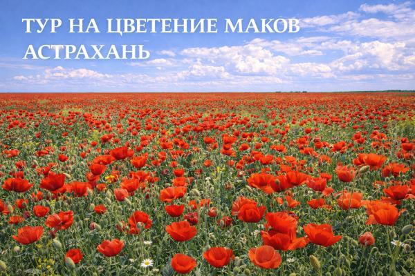 ���� ����� ���������. ��� �� �������� �����, 3 ��� + ����