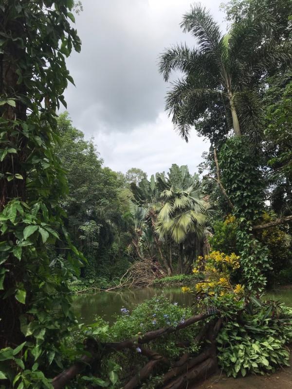 ����� (2�) ��. ������� (7�)