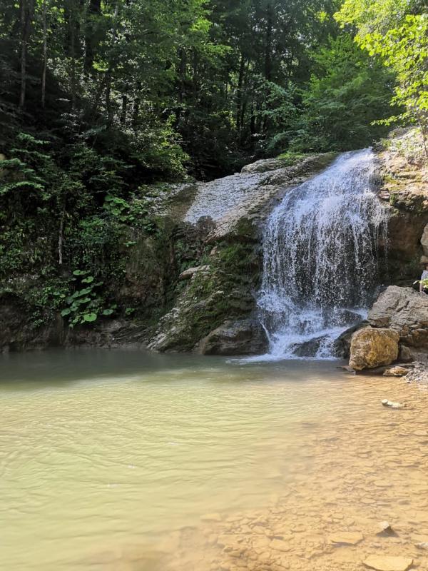 ������. ������ �������