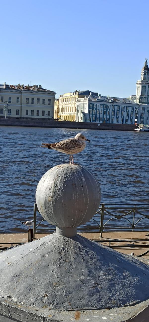 ������� ��� ��� ���������� ������ �� ������