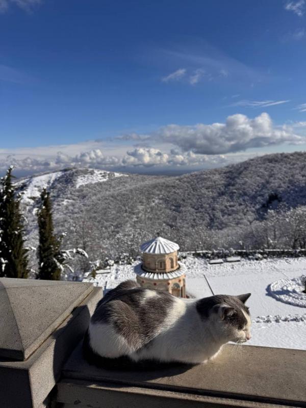 ����-��� � ������ �� ������� ��������� (4 ���)