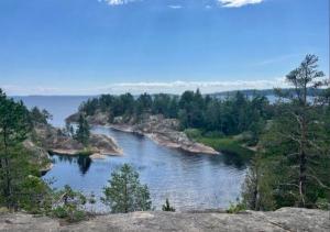 ���� ������� ������� ��������, �����, ������