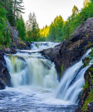 ���� ������� ������� ��������, �����, ������, ��������