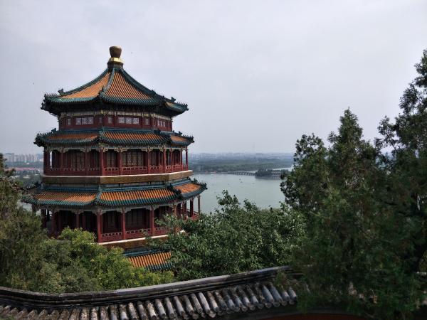 ����� TYP� ������� � ���� � �������