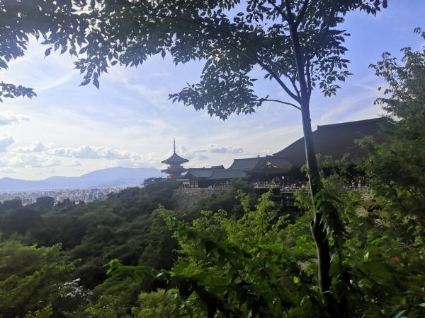 ������. ������������ ������. ����������� �� �����