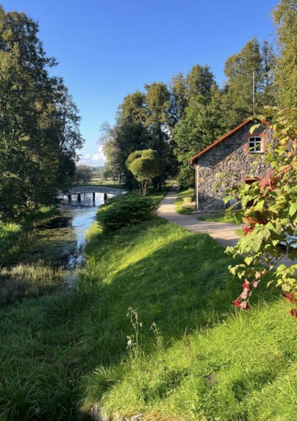 ����� ����� �������. ����� - ������� - ������ - ���������� ����.