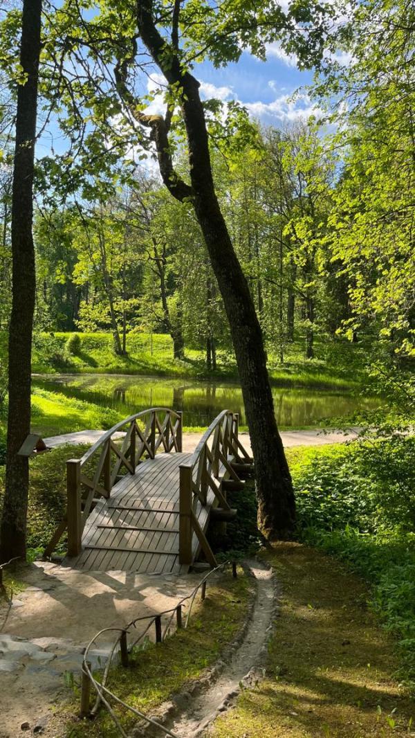 ���������� ����. ��� ��� � ���� �����. ���������� � ����� ����� �