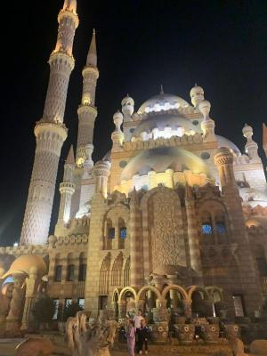 ����-���-���� �� ��� � 18 ������� �� 11 � 14 �����. (����� 5*)