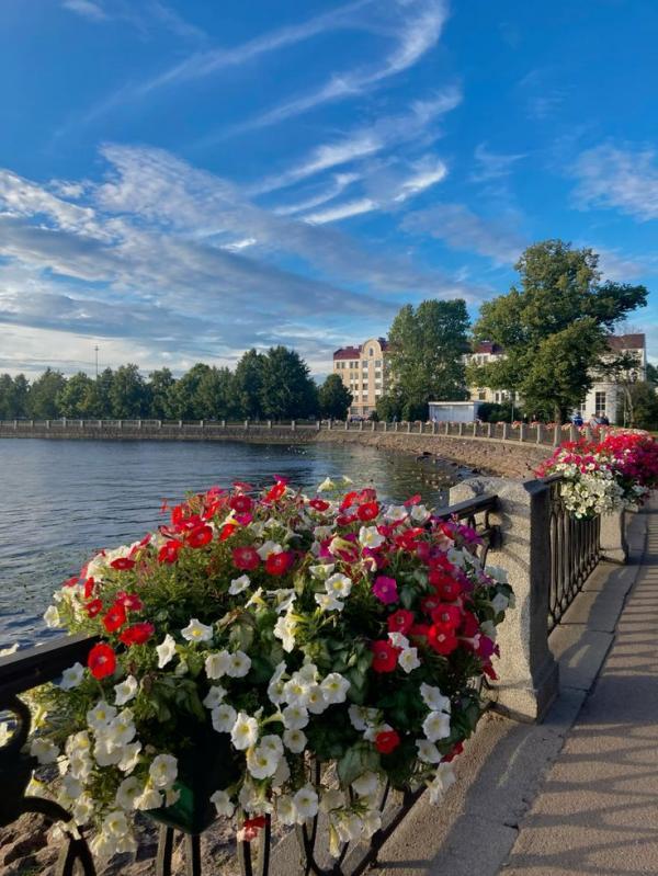 2 � 1: ������, �������� � �������.