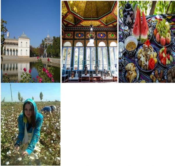 ������ � ����������