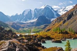 �������� ���������� �� ����� 