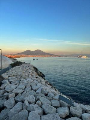 ����������� ����� �������� 8 ���� / 7 ����� (����������� - �����������)