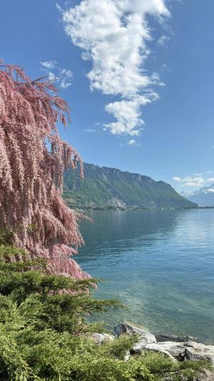 ����������� ����� �������� 8 ���� / 7 ����� (����������� - �����������)