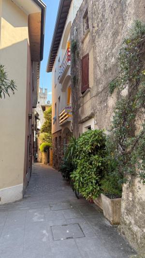 ����������� ����� �������� 8 ���� / 7 ����� (����������� - �����������)