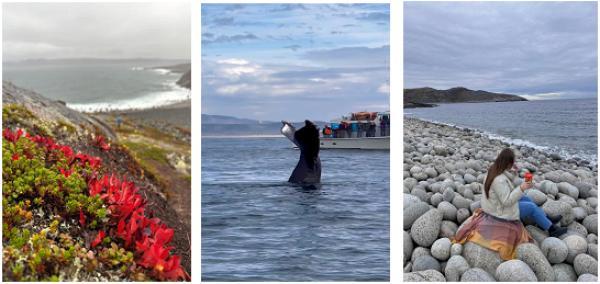 ����������� ����. 4 ��� / 3 ����