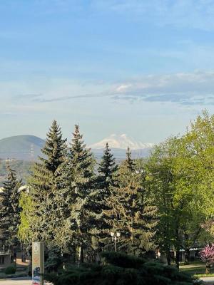 ���������� ������� (5 ����)