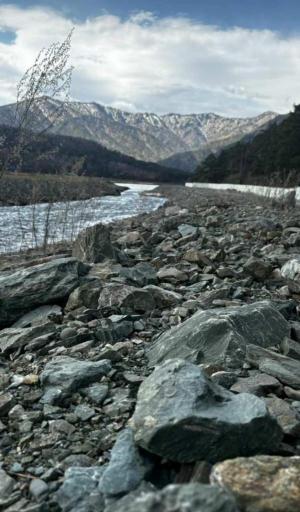 ������� ��������� �� ����� (5 ����)