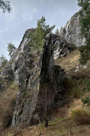 ������� ��������� �� ����� (5 ����)