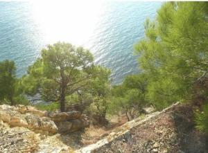 �������� ������! (5 ����)