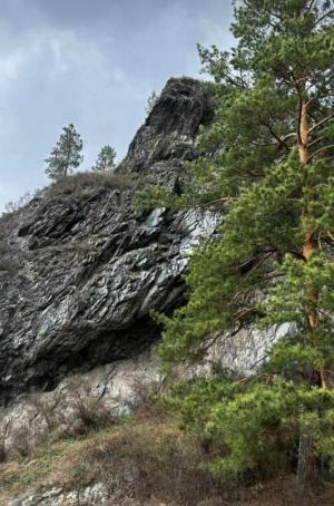 ��������� � ����� �� 6 ����!