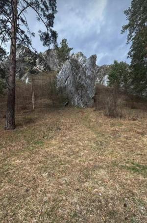 ��������� ����������� (7 ����)