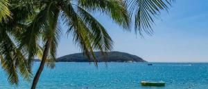 �����+������� �����, 11 ����.