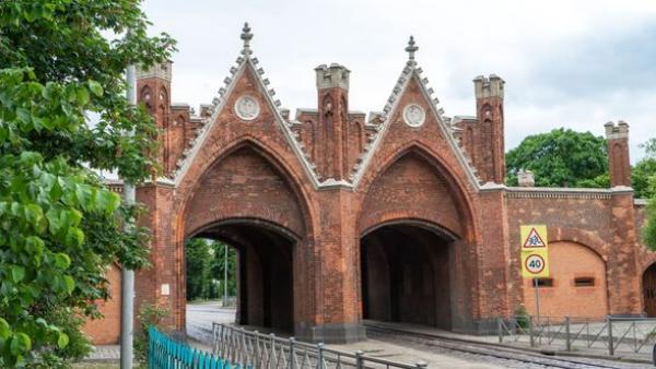 ������������� �����������, 5 ����.