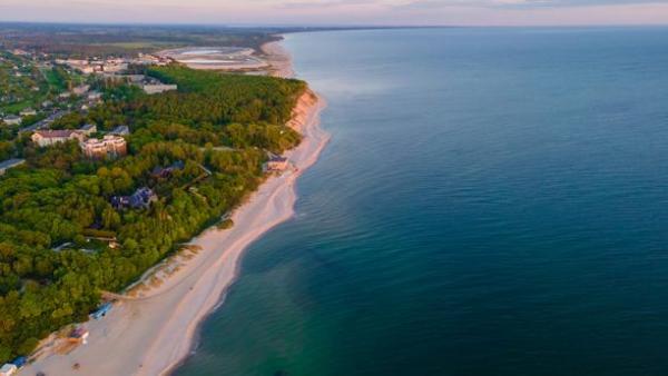 � ���������� �������, 8 ����.