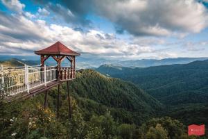 ������. ������ �������